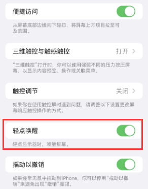 淮上苹果授权维修站分享iPhone轻点无法唤醒怎么办 