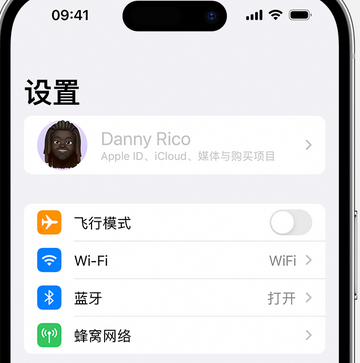 淮上appleID维修服务iPhone设置中Apple ID显示为灰色无法使用