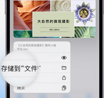 淮上apple维修中心分享iPhone文件应用中存储和找到下载文件