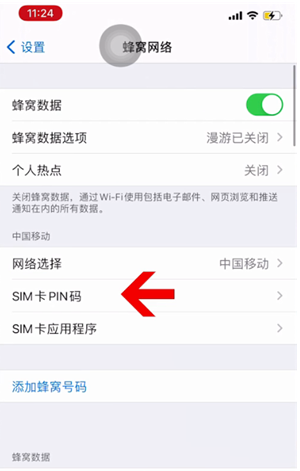 淮上苹果14维修网分享如何给iPhone14的SIM卡设置密码 