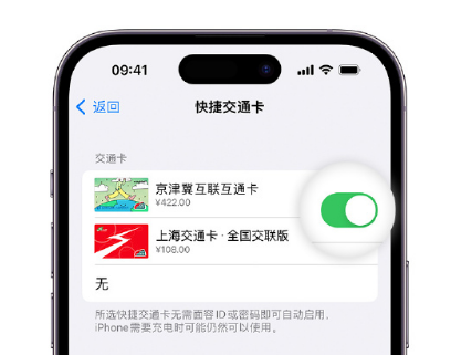 淮上apple维修点分享iPhone上更换Apple Pay快捷交通卡手绘卡面 