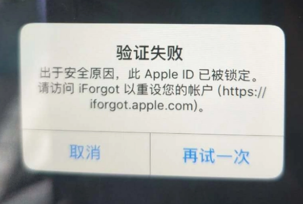 淮上iPhone维修分享iPhone上正常登录或使用AppleID怎么办 