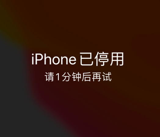 淮上苹果手机维修分享:iPhone 显示“不可用”或“已停用”怎么办？还能保留数据吗？ 