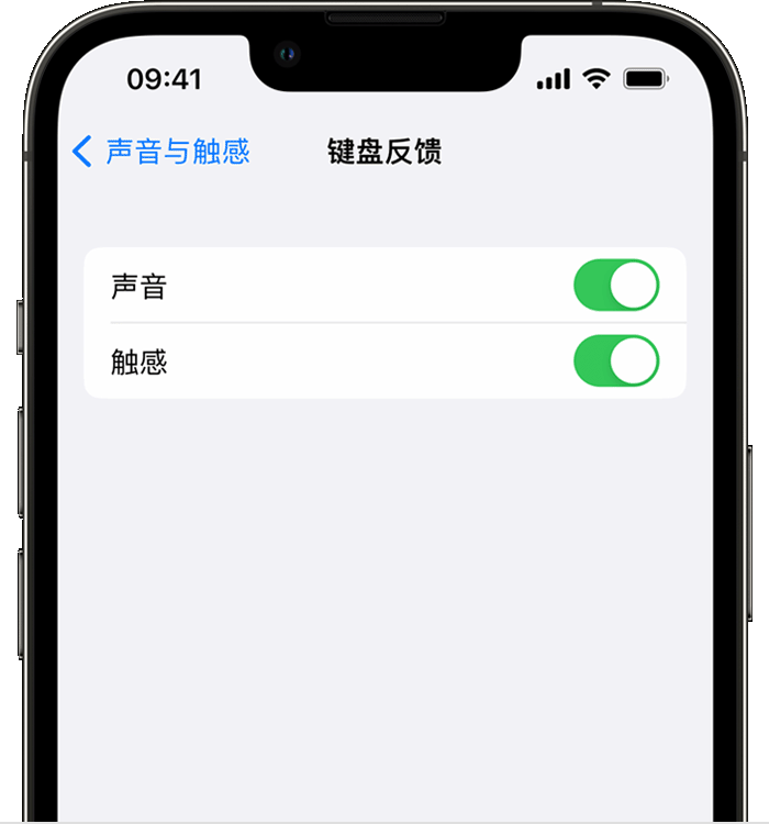 淮上苹果14维修店分享如何在 iPhone 14 机型中使用触感键盘 