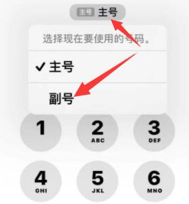 淮上苹果14维修店分享iPhone 14 Pro Max使用副卡打电话的方法 