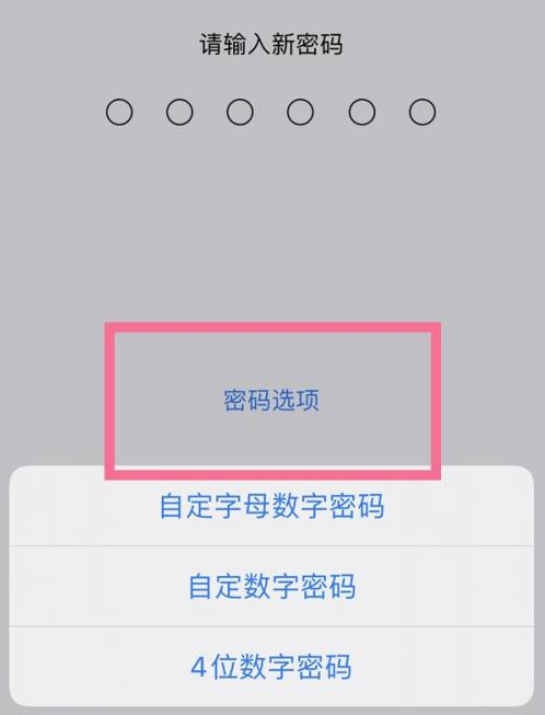 淮上苹果14维修分享iPhone 14plus设置密码的方法 