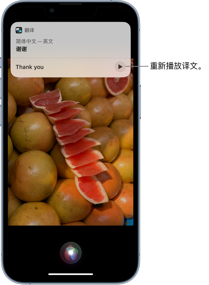 淮上苹果14维修分享 iPhone 14 机型中使用 Siri：了解 Siri 能帮你做什么 