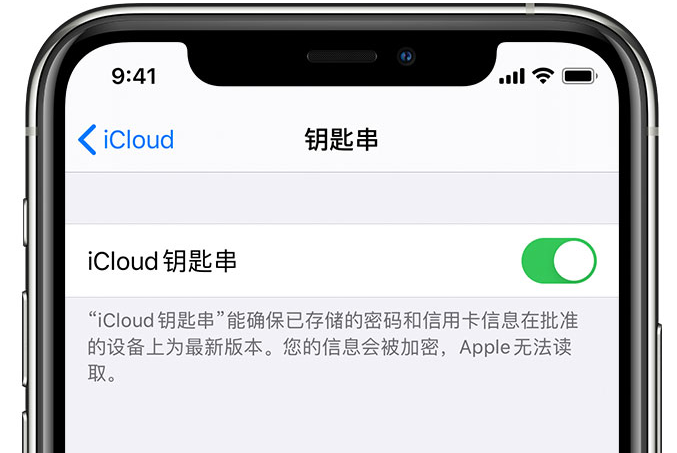 淮上苹果手机维修分享在 iPhone 上开启 iCloud 钥匙串之后会储存哪些信息 