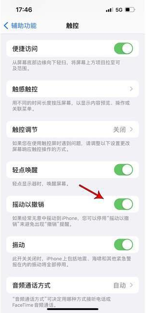 淮上苹果手机维修分享iPhone手机如何设置摇一摇删除文字 